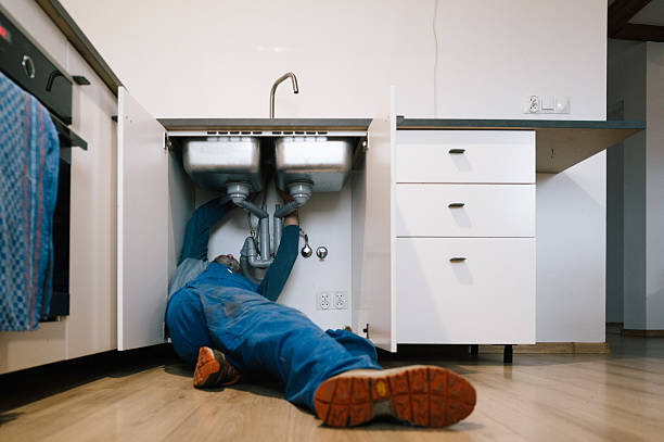 Professional Plumbing technician working in Parmele, NC